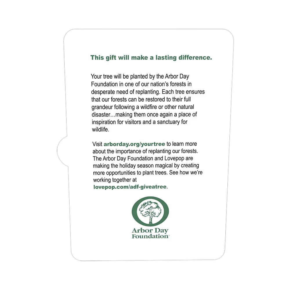 Arbor Day Foundation Holiday Tree Pop-Up Card - Image 4