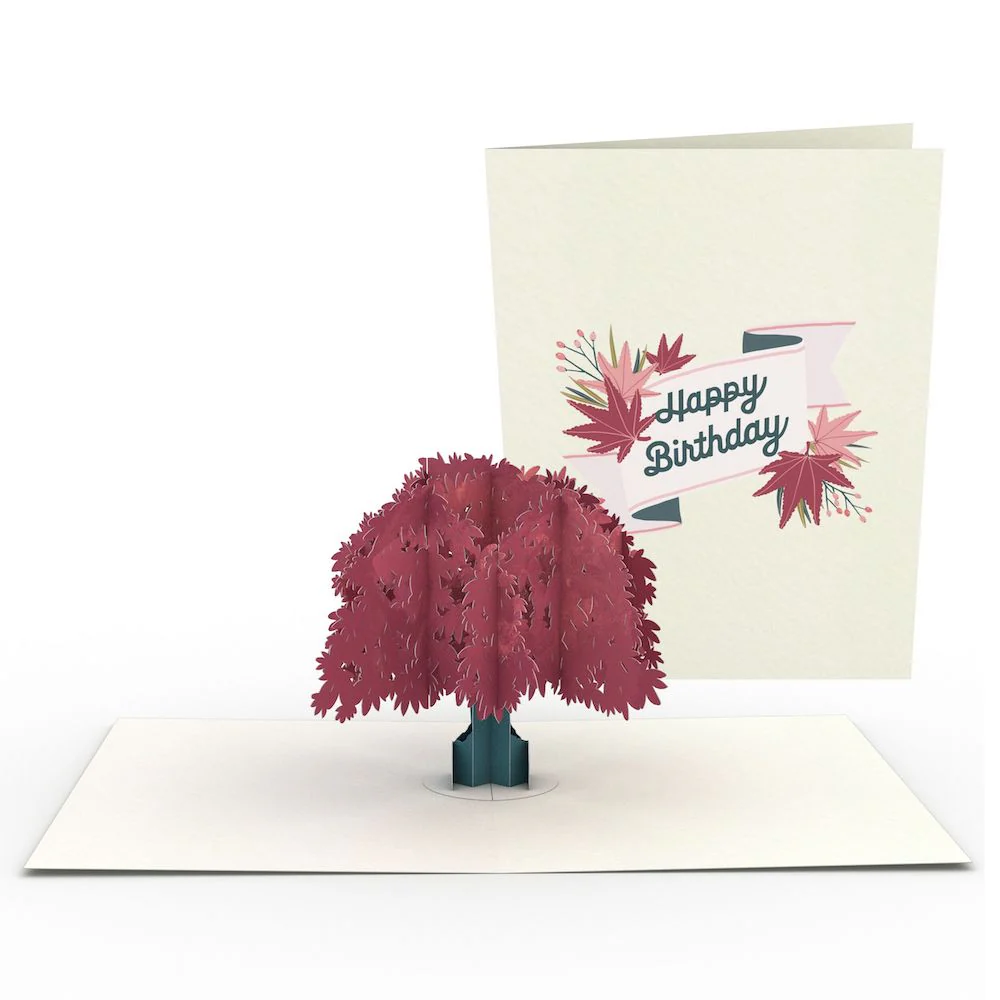 Birthday Garden Notecards (Assorted 4-Pack) - Image 5