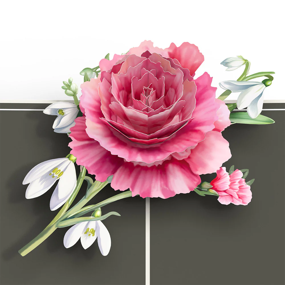 Born to Bloom: A Year of Birth Month Flowers 12-Pack - Image 3