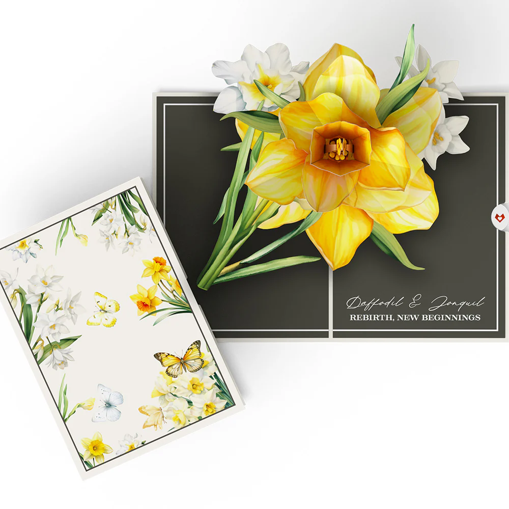 Born to Bloom: A Year of Birth Month Flowers 12-Pack - Image 8