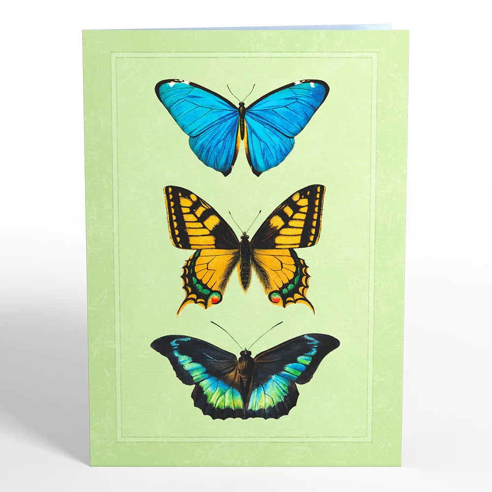 Butterflies in Flight Pop-Up Card - Image 4