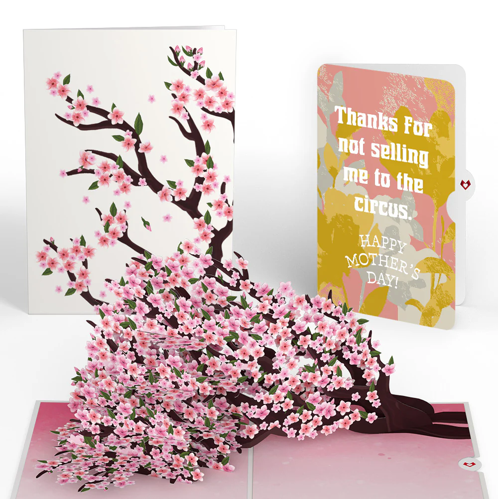 Cherry Blossom Branches in Bloom Mother’s Day Pop-Up Card and Playful Painted Bloom Sentiment Set for Mom
