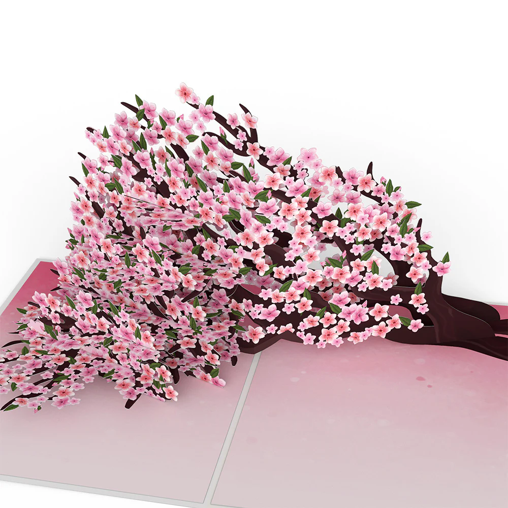 Cherry Blossom Branches in Bloom Mother's Day Pop-Up Card and Sentiment Set for Spanish Grandmother - Image 3