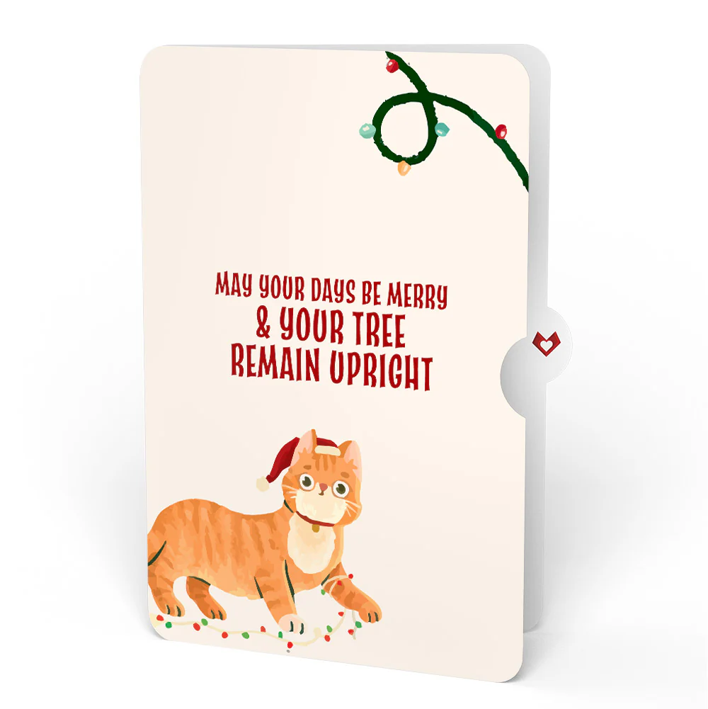 Christmas Cat Stockings Pop-Up Card and Funny Sentiment Set - Image 4