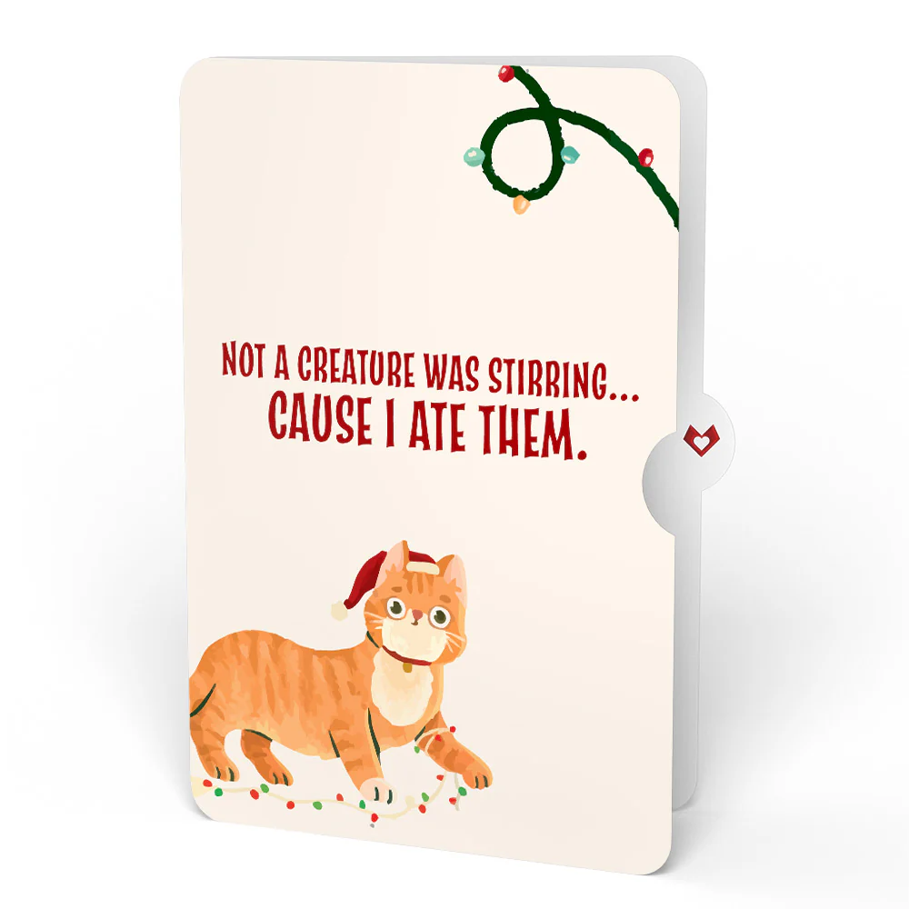Christmas Joy Wreath and Hungry Cat Sentiment Set - Image 4