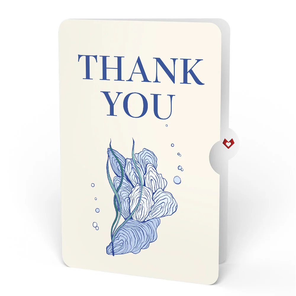 Coastal Oysters Thank You Pop-Up Card and Sentiment Set - Image 4