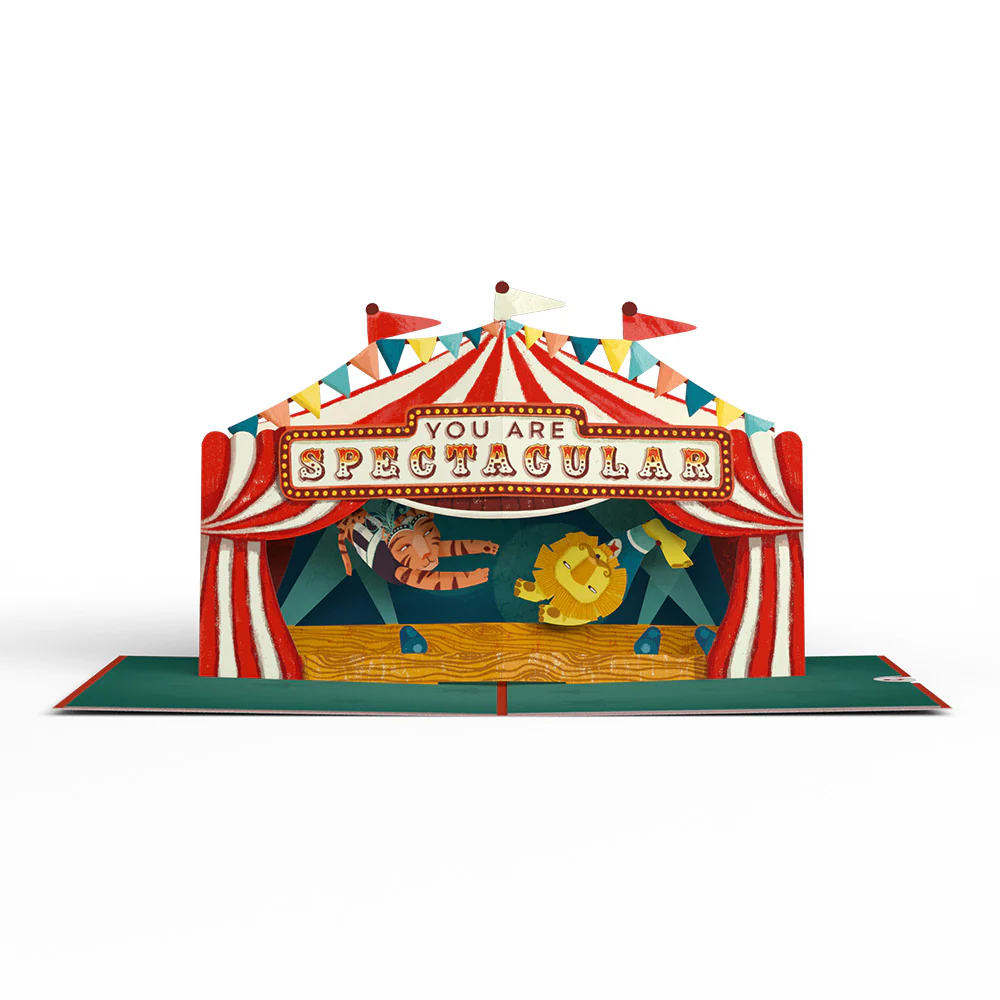 Congrats, You Are Spectacular Pop-Up Card - Image 3