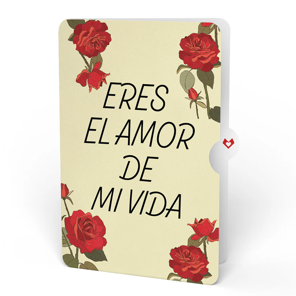 Red Rose Eres El Amor De Mi Vida Valentine Grand Bouquet and Sentiment Set - Image 4