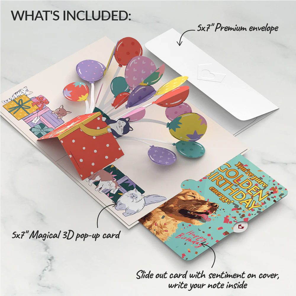 Curious Cats Birthday Pop-Up Card and Golden Energy Sentiment Set - Image 2