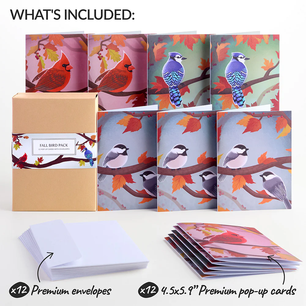Fall Bird Box Set (Assorted 12-pack): Paperpop® Card - Image 2