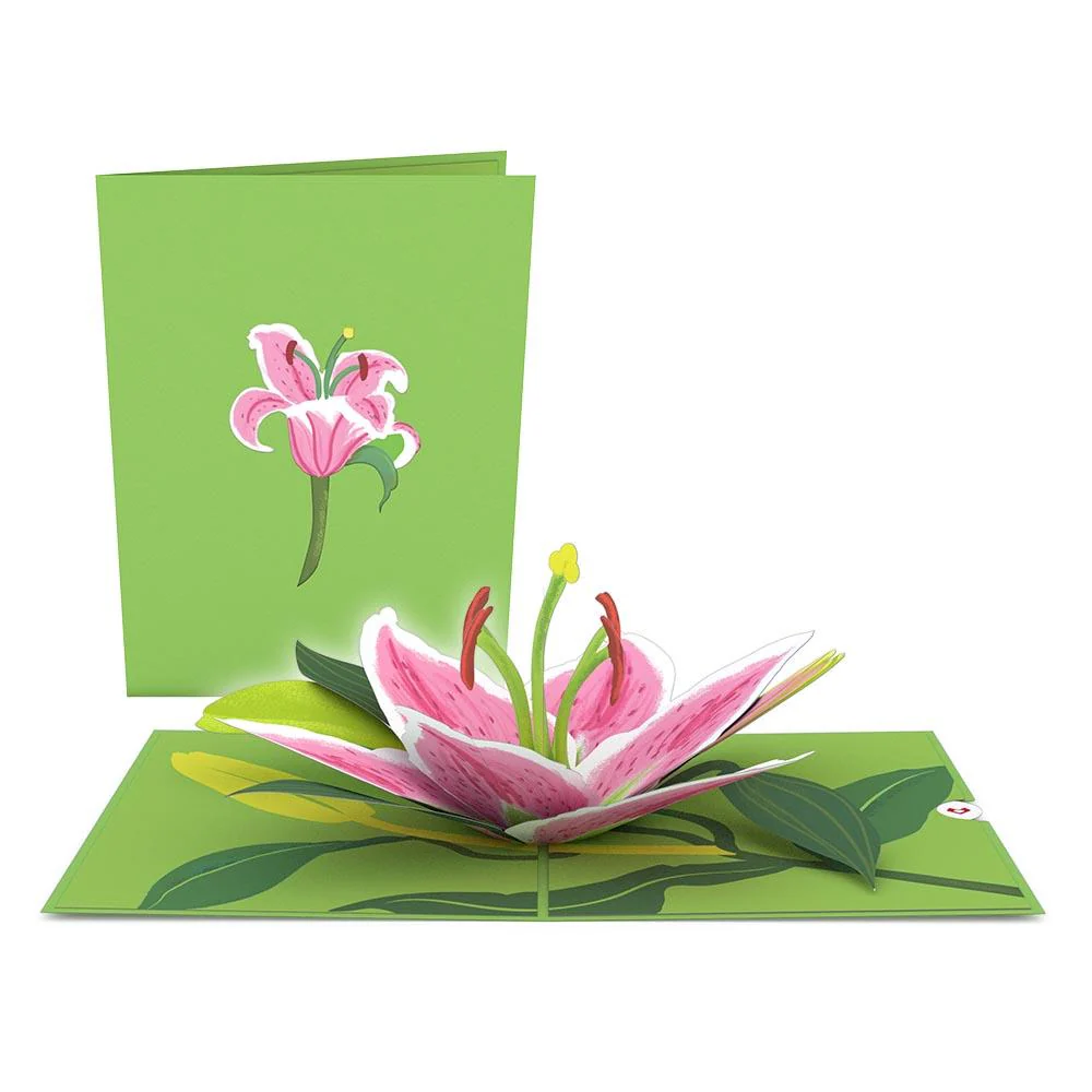 Garden 12-Pack Classic - Image 11