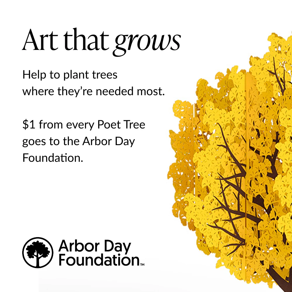 Gingko Biloba Poet Tree Pop-Up Paper Sculpture - Image 9