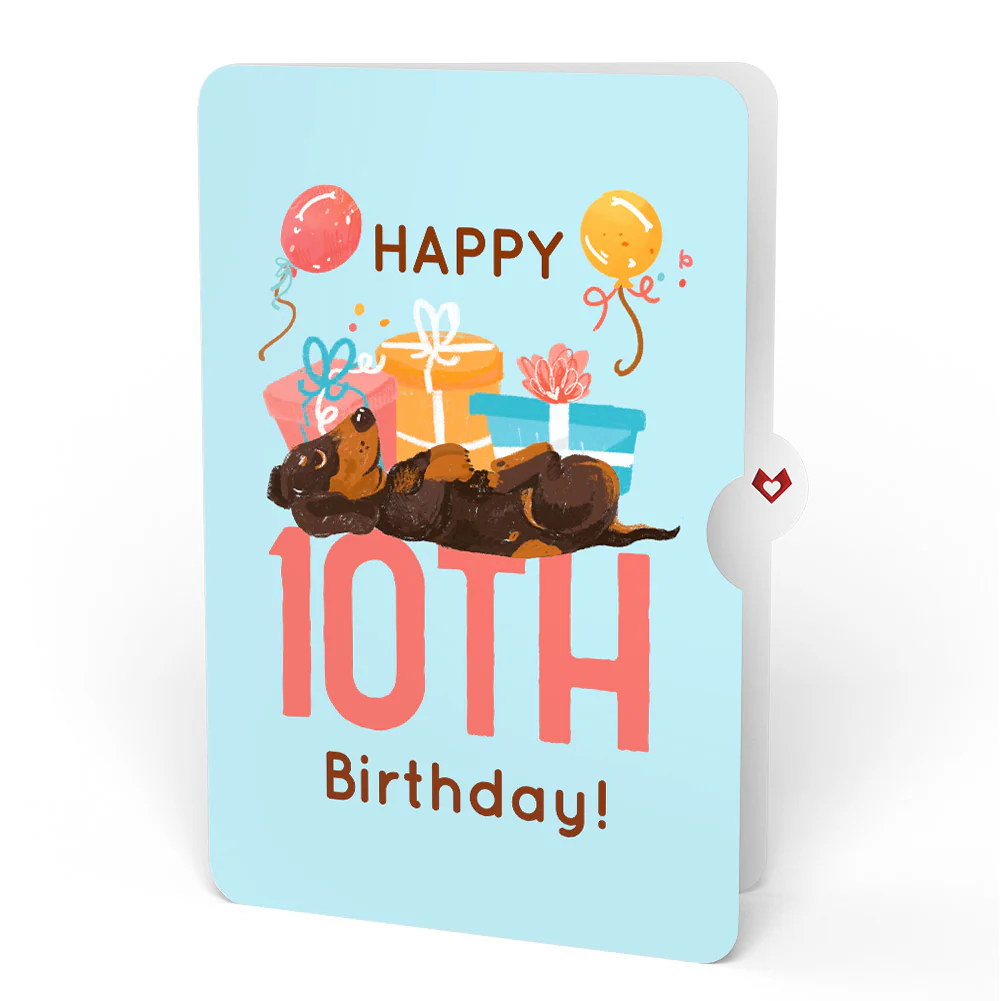 Happy 10th Birthday Dogs Pop-Up Card and Sentiment Set - Image 4