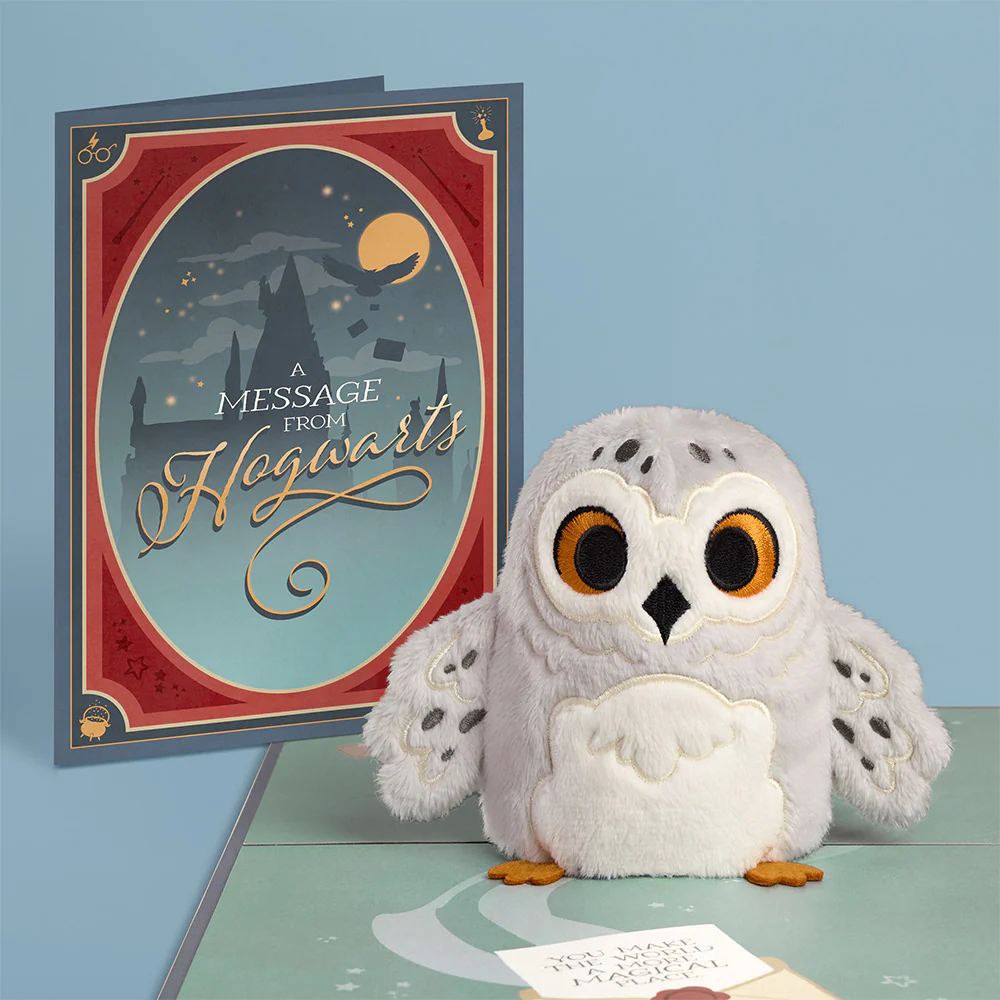 Harry Potter™ Hedwig™ Plushpop Card & Flower Buds Bouquet Bundle - Image 2