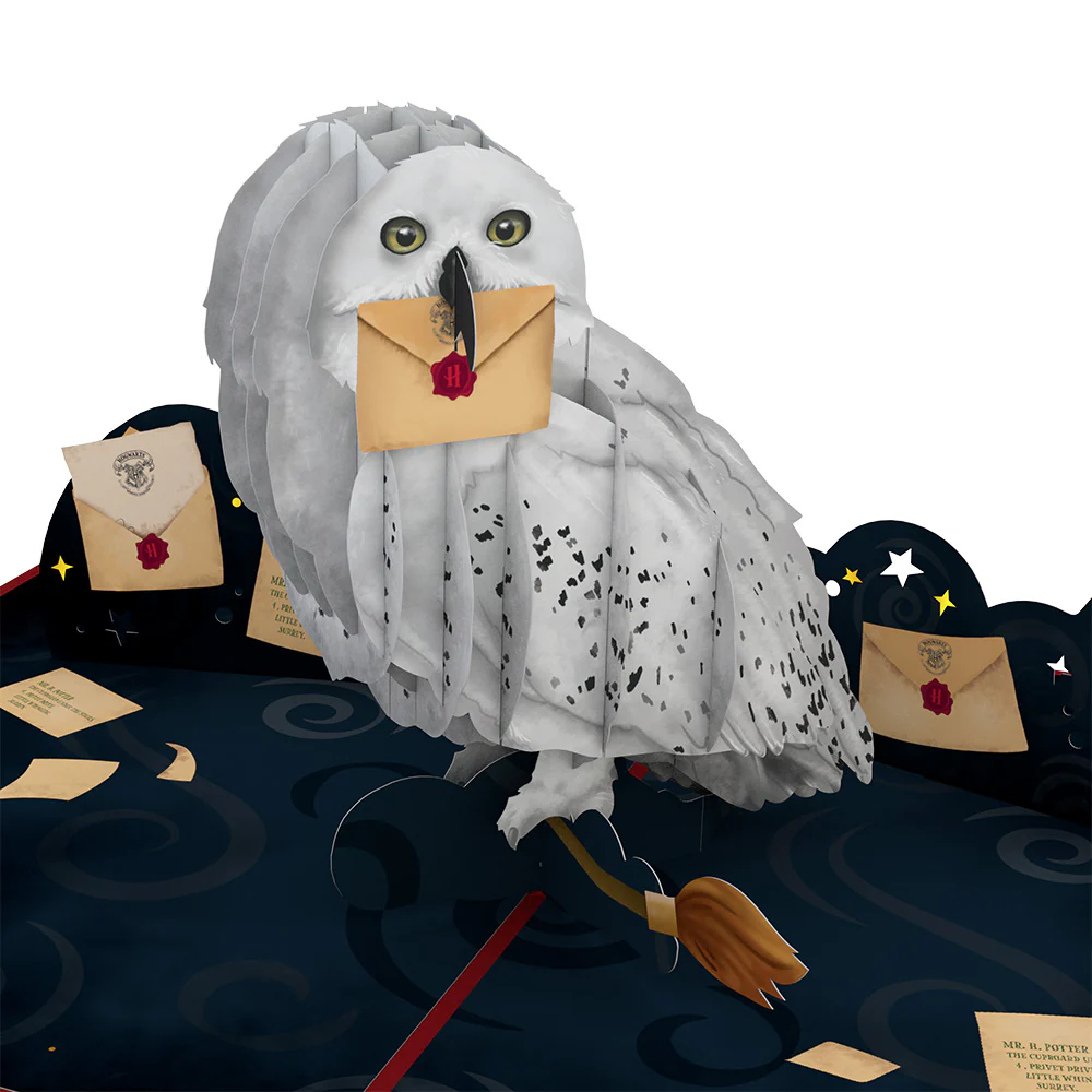 Harry Potter™ Hedwig™ Birthday Delivery Pop-Up Card - Image 2