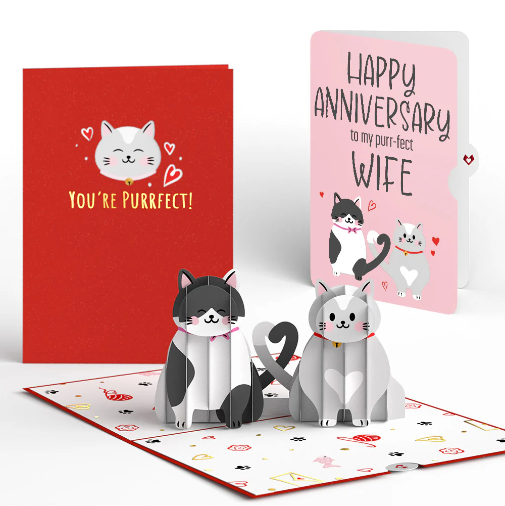 Love Cats Anniversary Pop-Up Card and Sentiment Set for Wife