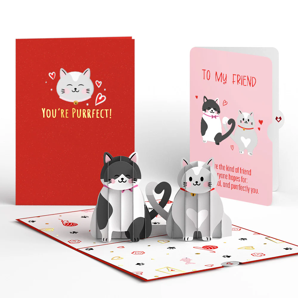 Love Cats Appreciation Pop-Up Card and Sentiment Set for Friend
