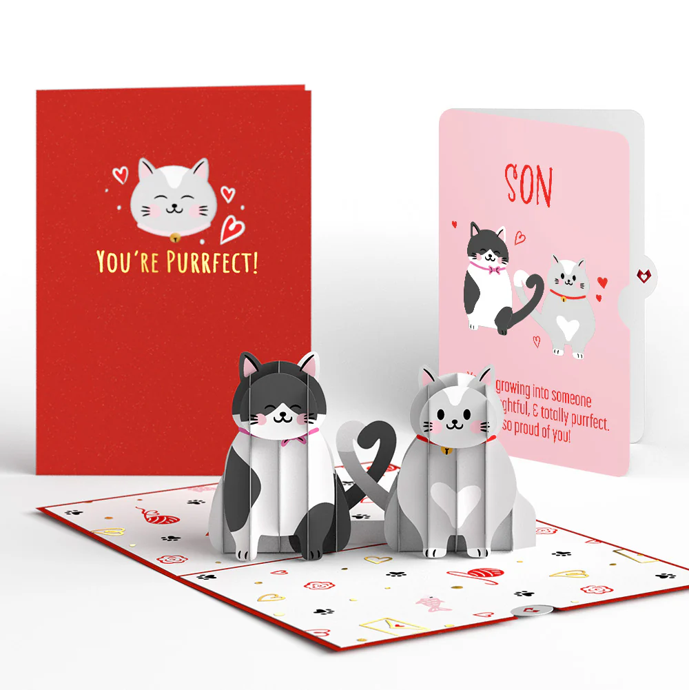 Love Cats Encouragement Pop-Up Card and Sentiment Set for Son