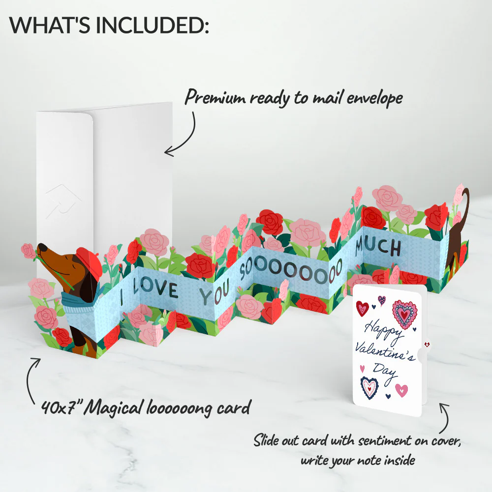 Love You So Much Dog Valentine Loooooong Card™ (Expands to 2 feet) and Sentiment Set - Image 2