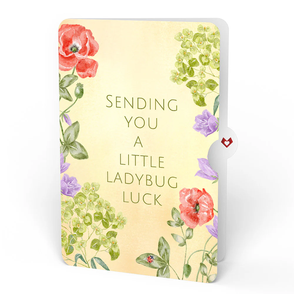 Lovely Ladybug Love Glitter Bouquet and Sentiment Set - Image 4