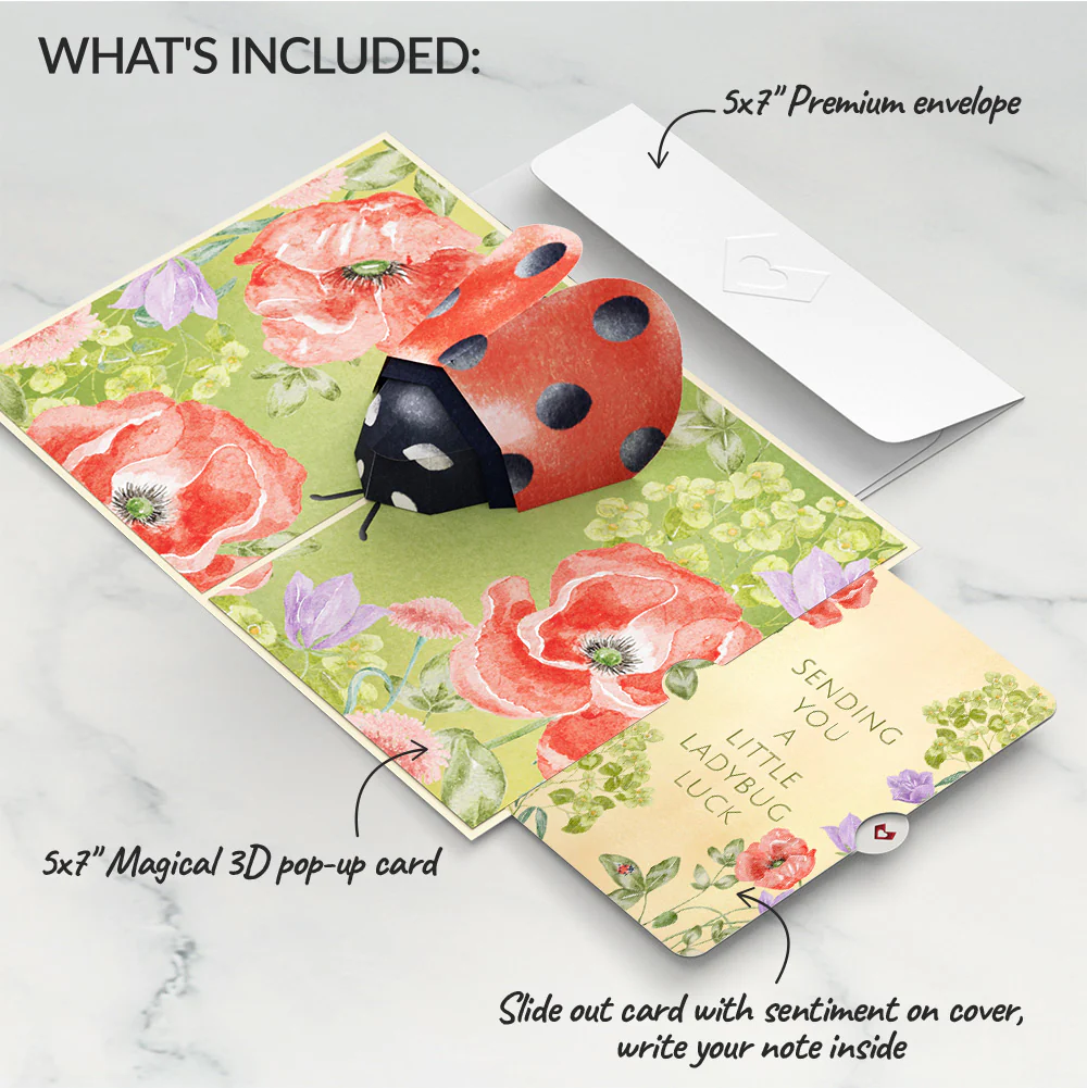 Lovely Ladybug Love Pop-Up Card and Sentiment Set - Image 2