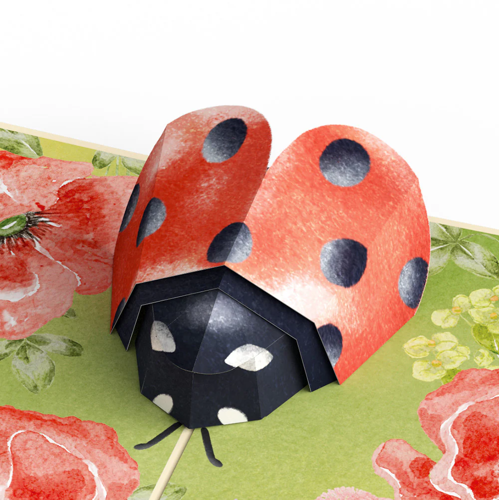 Lovely Ladybug Love Pop-Up Card and Sentiment Set - Image 3