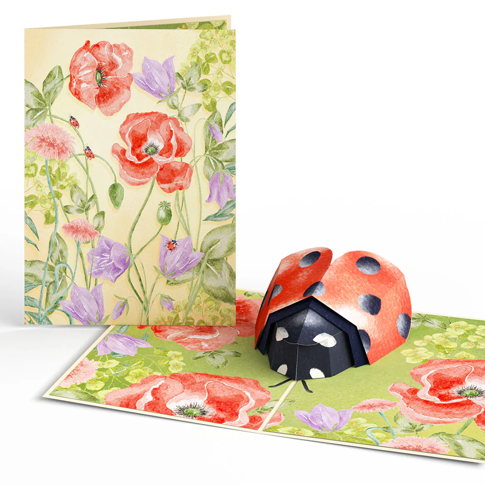 Lovely Ladybug Pop-Up Card & Glitter Bouquet - Image 3