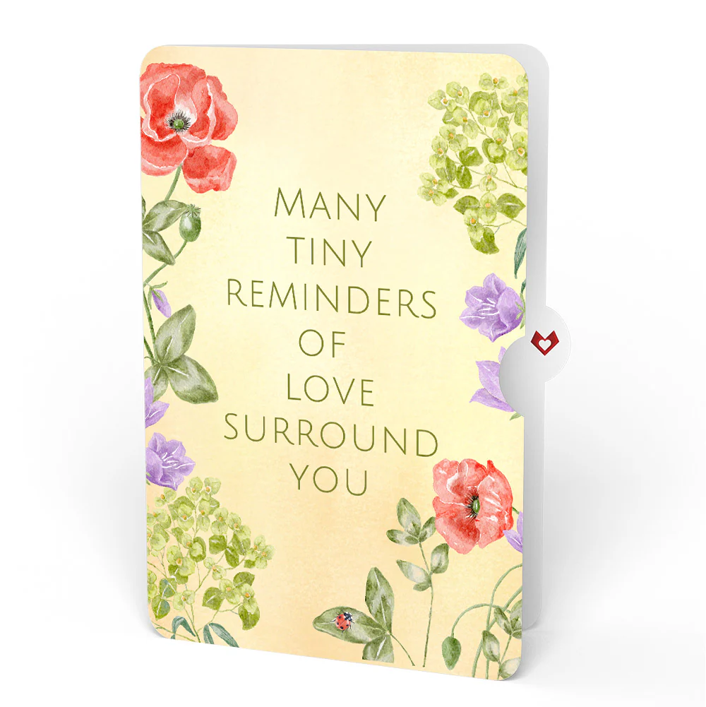 Lovely Ladybug Sympathy Pop-Up Card and Sentiment Set - Image 4