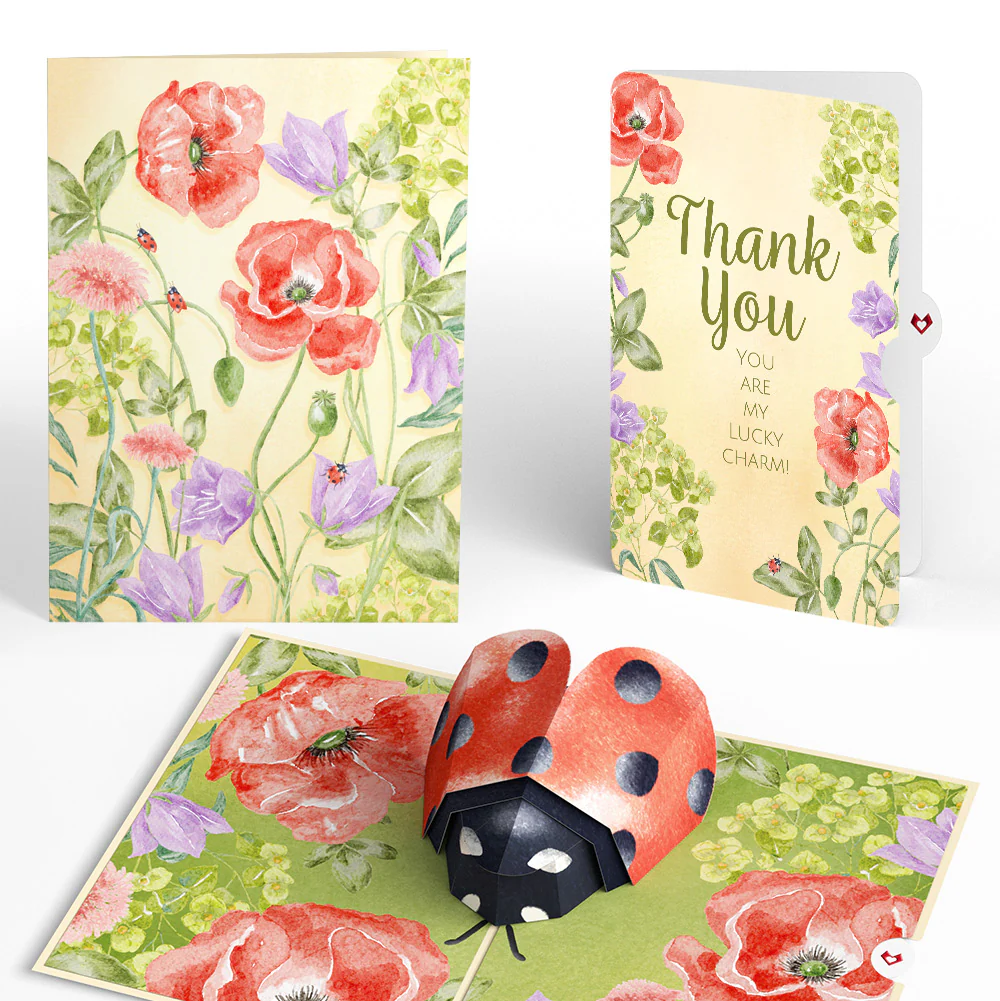 Lovely Ladybug Thank You Pop-Up Card and Sentiment Set