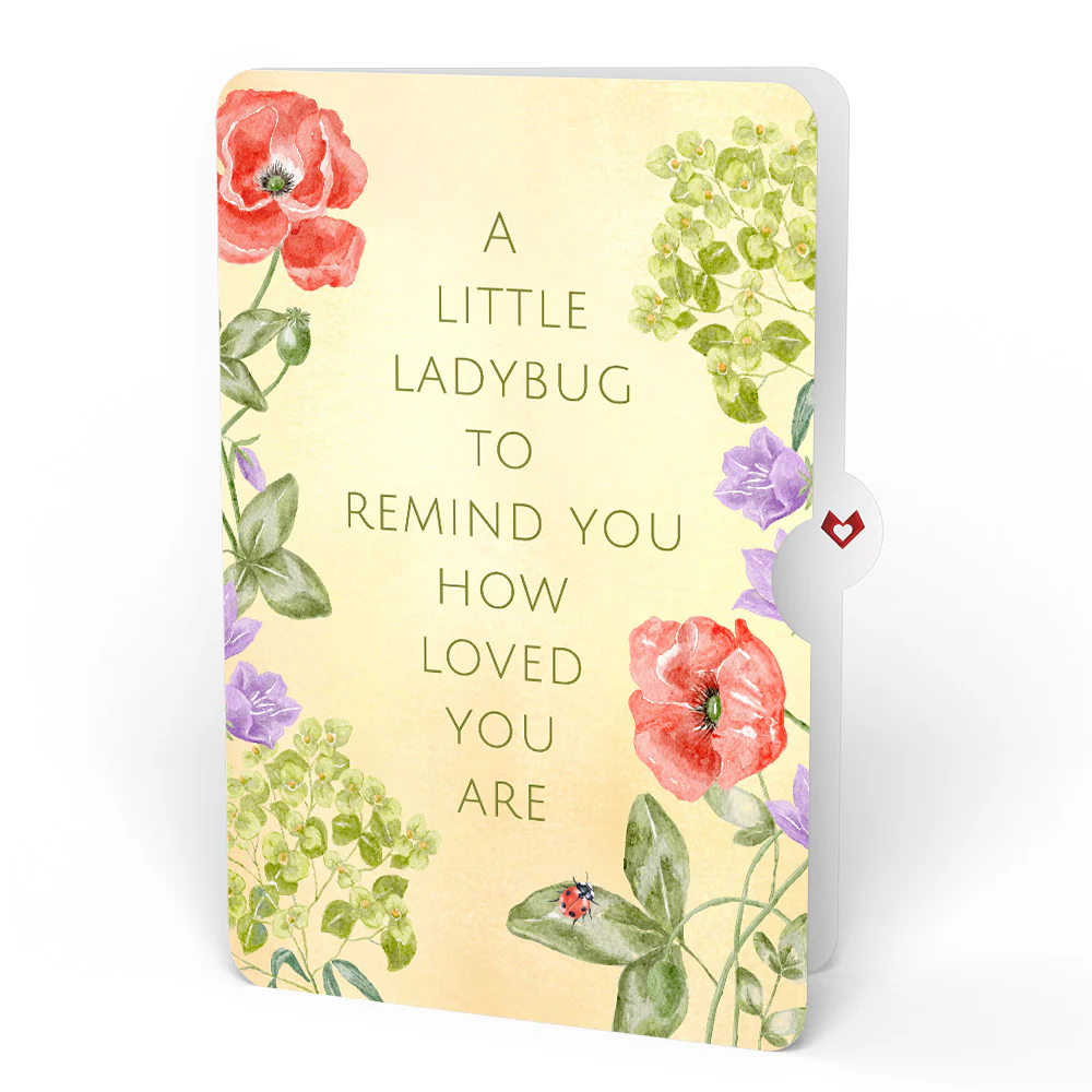 Lovely Ladybug Thinking of You Glitter Bouquet and Sentiment Set - Image 4