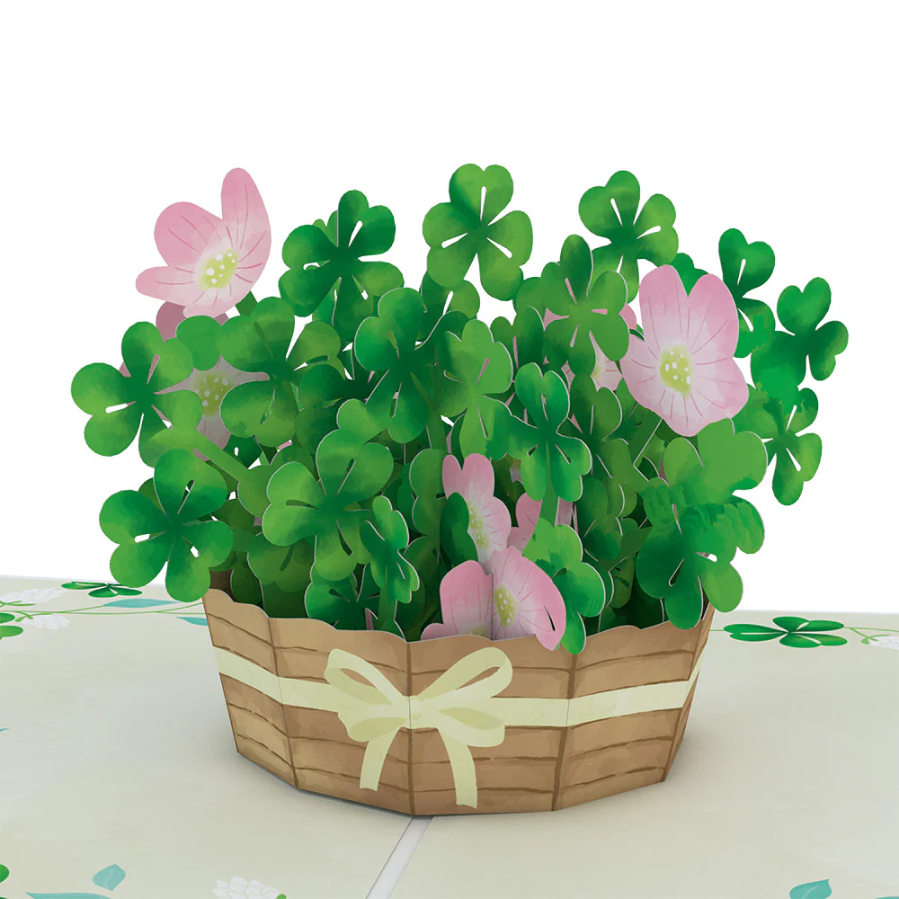 Lucky Shamrock 3-Pack - Image 5