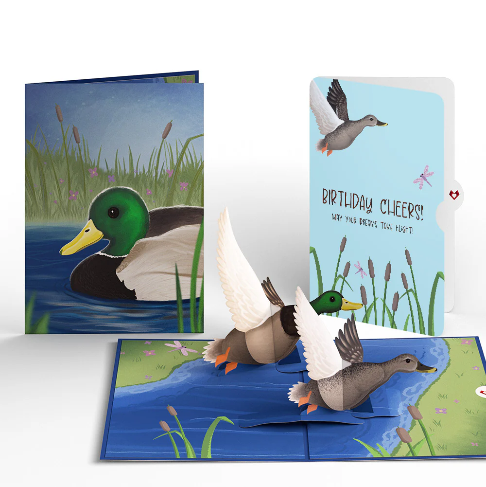Pondside Mallard Ducks Birthday Pop-Up Card and Sentiment Set