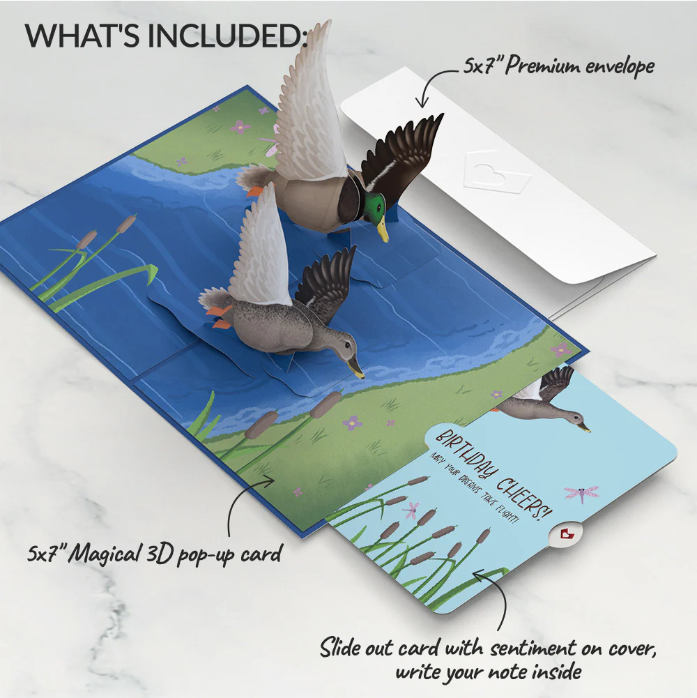 Pondside Mallard Ducks Birthday Pop-Up Card and Sentiment Set - Image 2