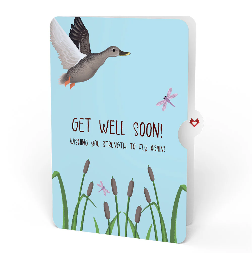 Pondside Mallard Ducks Get Well Soon Pop-Up Card and Sentiment Set - Image 4