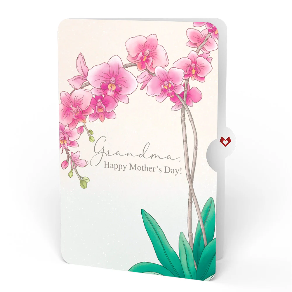 Mother’s Day Orchid Pop-Up Card and Sentiment Set for Grandmother - Image 4