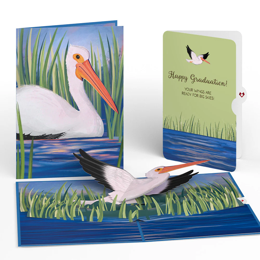 Pelican in the Marsh Graduation Pop-Up Card and Sentiment Set