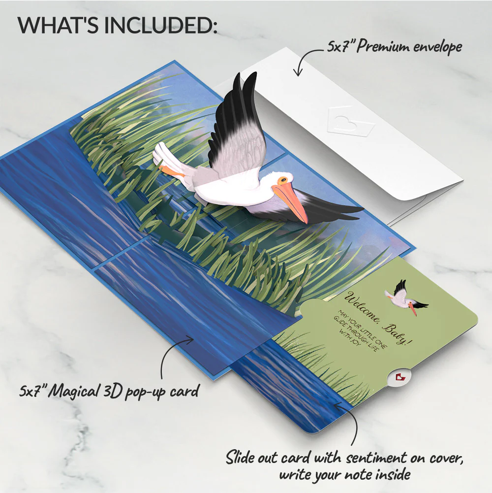Pelican in the Marsh New Baby Pop-Up Card and Sentiment Set - Image 2