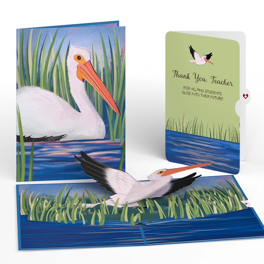 Pelican in the Marsh Thank you Pop-Up Card and Sentiment Set for Teacher
