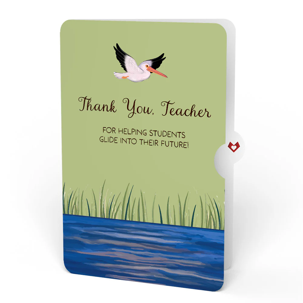 Pelican in the Marsh Thank you Pop-Up Card and Sentiment Set for Teacher - Image 4