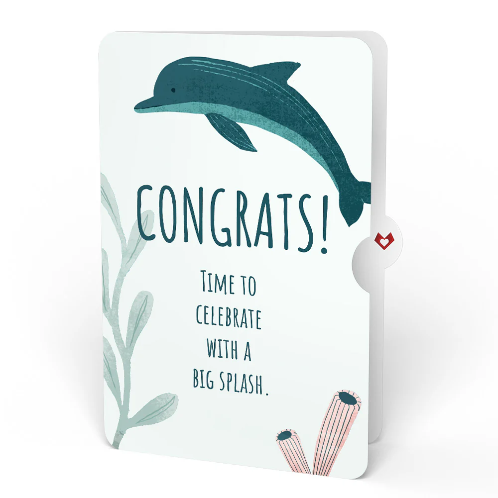Playful Dolphins Congratulations Pop-Up Card and Sentiment Set - Image 4