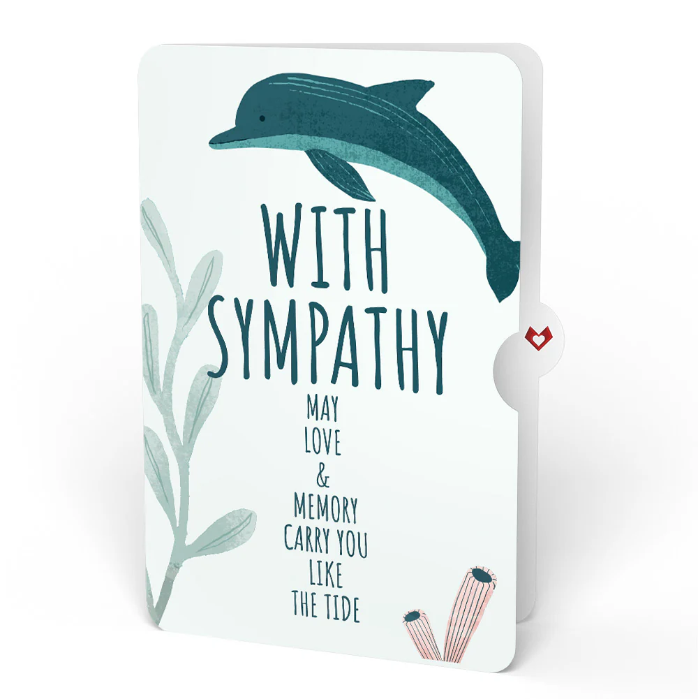 Playful Dolphins Sympathy Pop-Up Card and Sentiment Set - Image 4