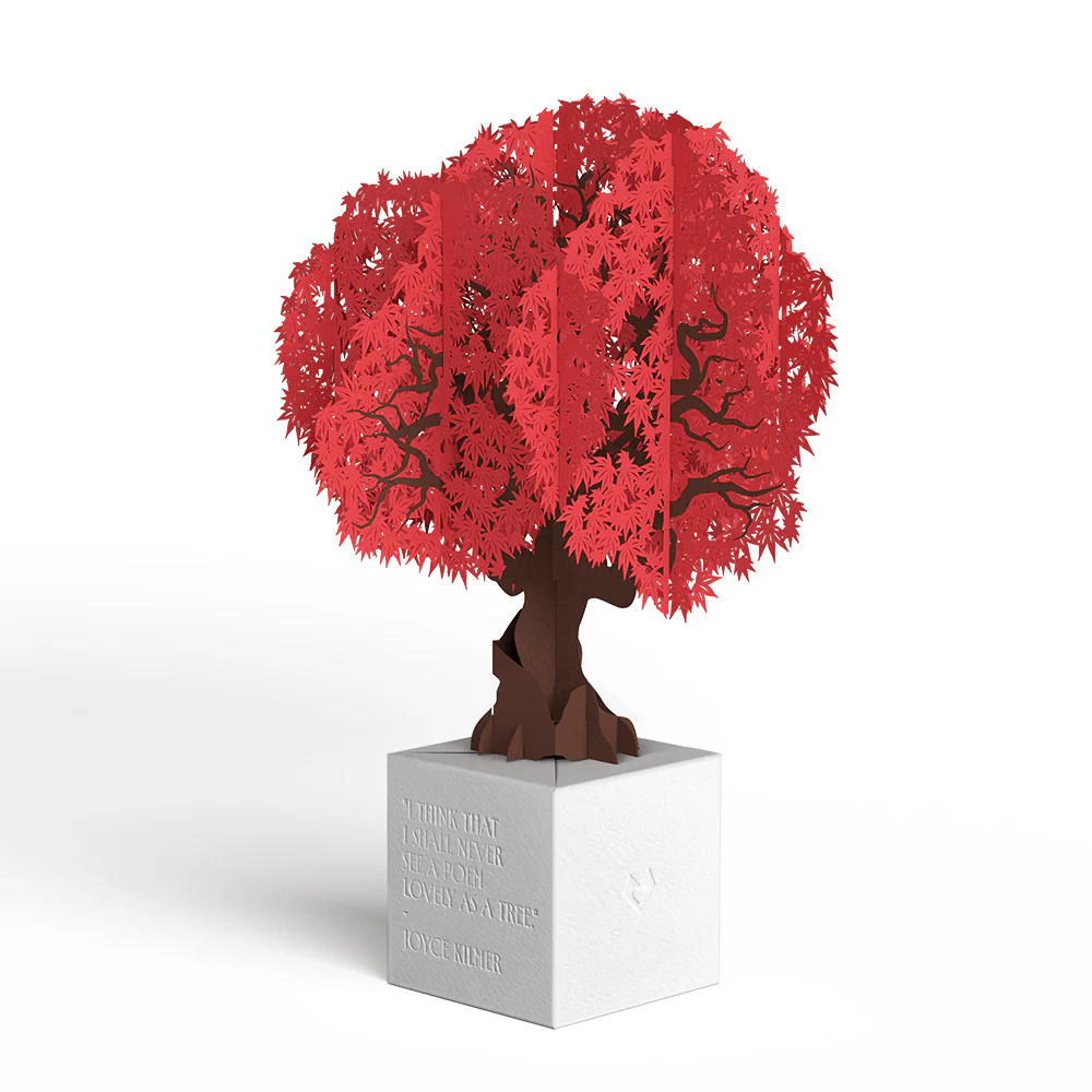 Japanese Maple Poet Tree Pop-Up Paper Sculpture - Image 4