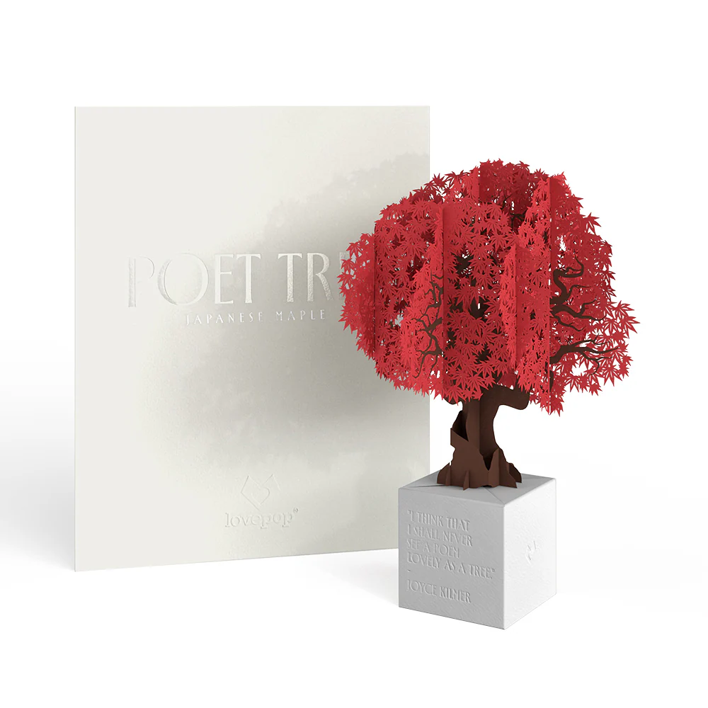 Japanese Maple Poet Tree Pop-Up Paper Sculpture - Image 7