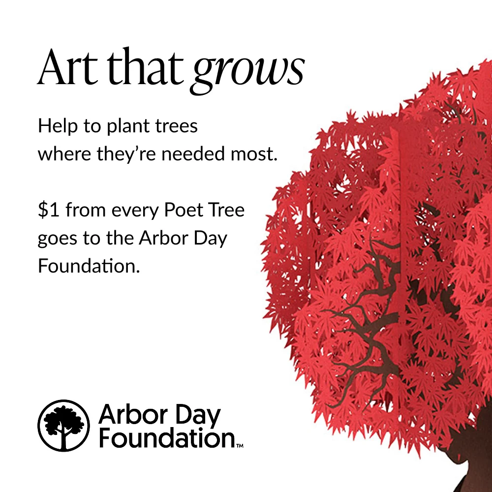 Japanese Maple Poet Tree Pop-Up Paper Sculpture - Image 9