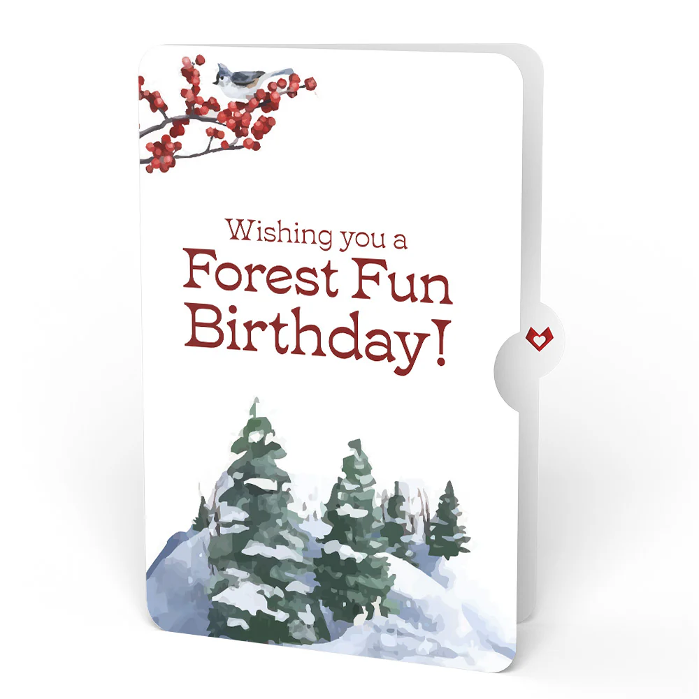 Poinsettia & Pine Birthday Pop-Up Card and Forest Fun Sentiment Set - Image 4