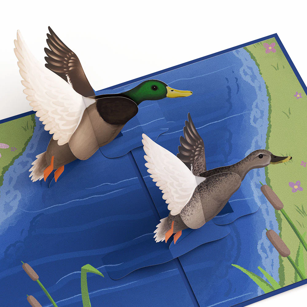 Pondside Mallard Ducks Pop-Up Card - Image 2
