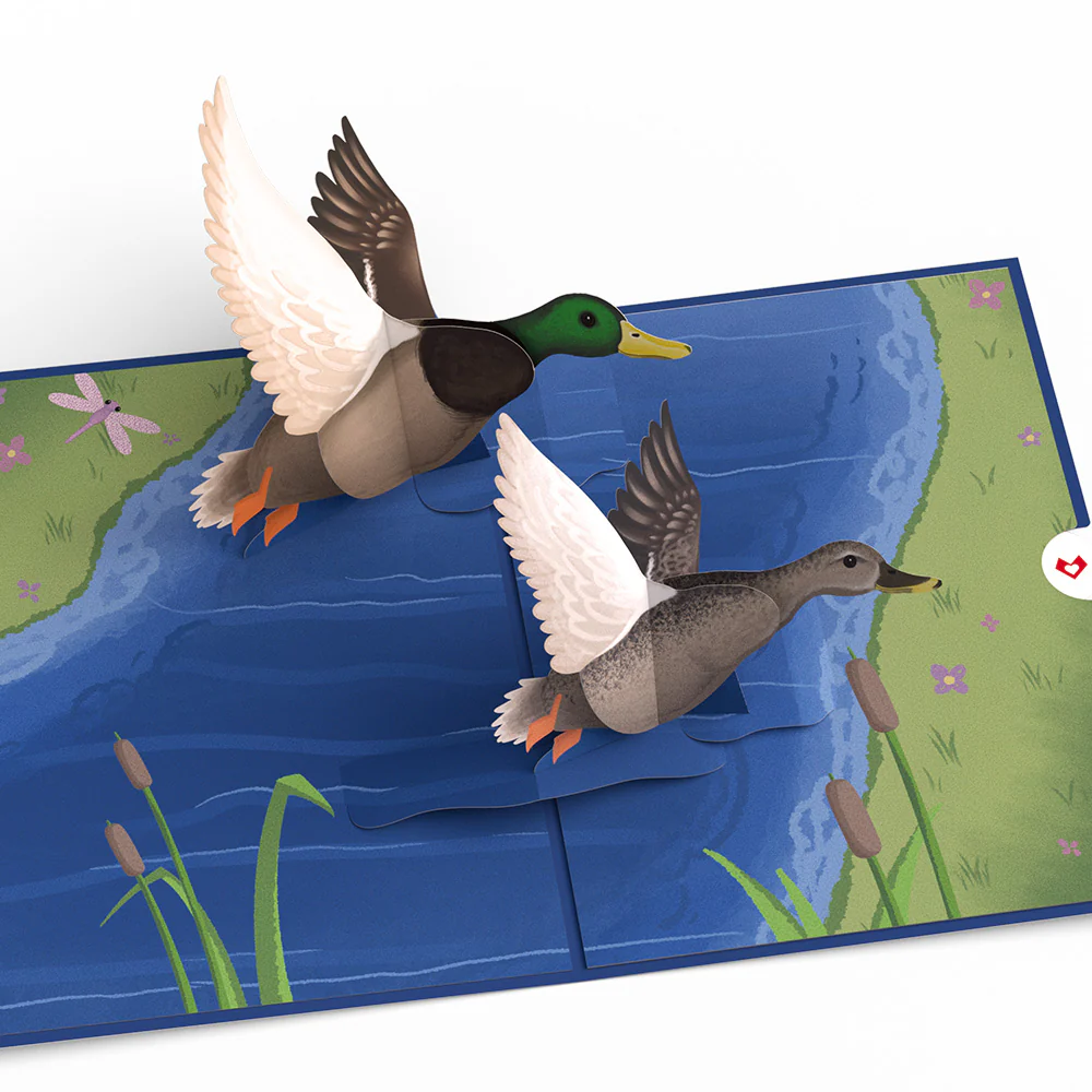 Pondside Mallard Ducks Pop-Up Card - Image 3