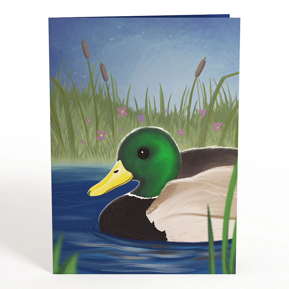 Pondside Mallard Ducks Pop-Up Card - Image 4