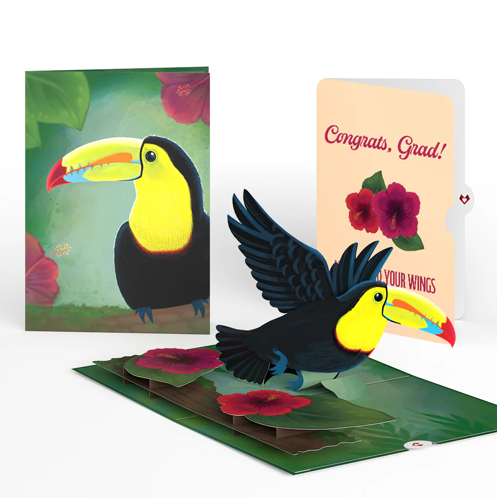 Rainforest Toucan Graduation Pop-Up Card and Hibiscus Sentiment Set