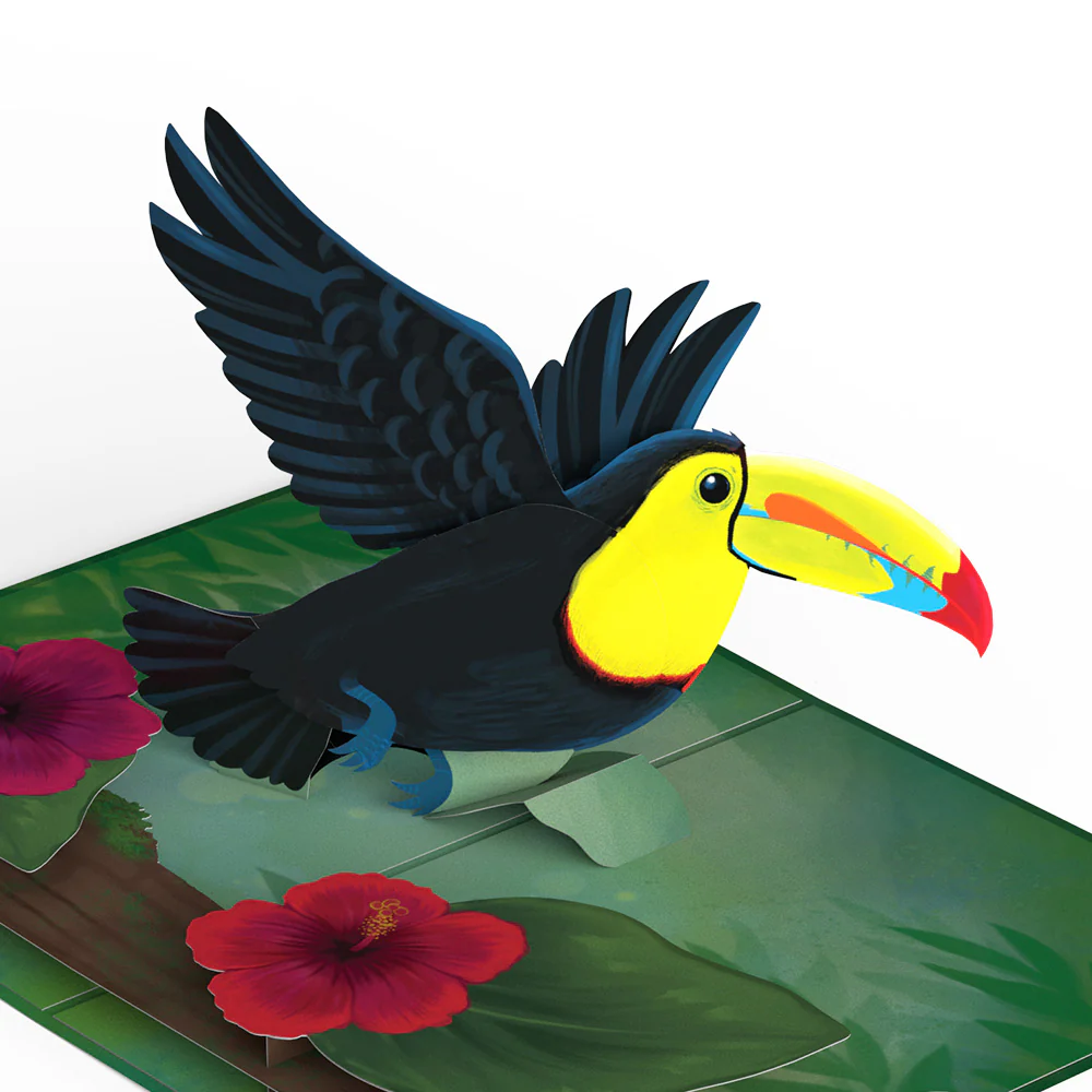 Rainforest Toucan Thank You Pop-Up Card and Hibiscus Sentiment Set - Image 3